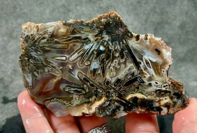 Stick Agate Rough Slab - Turkey! - Image 1 of 3