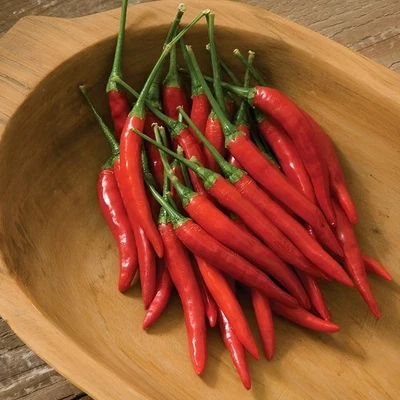 100 semillas de chile Heirloom Thai Hot Prik Mun - ¡Petardos picantes! 75K SHU Foto 1 de 4