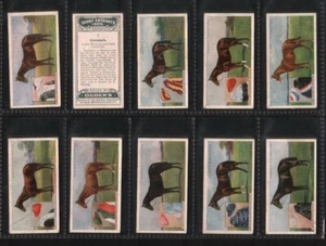 Tobacco cards set cigarette cards Horse racing Derby Entrants 1926 - Picture 1 of 3