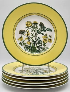 Mikasa Floral Court Salad Plates (6) 22cm HK303 Ultima+ Super Strong Fine China - Picture 1 of 24