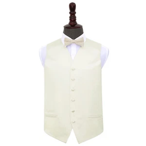 Ivory Plain Satin Solid Mens Wedding Waistcoat And Bow Tie Set by DQT - Picture 1 of 4
