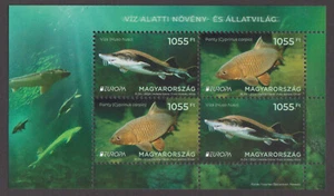 UNGHERIA - 2024 EUROPA - FLORA E FAUNA SUBACQUEA / PESCE - MIN. LENZUOLO NUOVO NUOVO NH - Foto 1 di 4