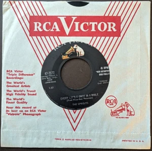 THE SPROUTS Every Little Once in A While 45 FOLK ROCKABILLY 7" Single *FAST SHIP - Picture 1 of 4