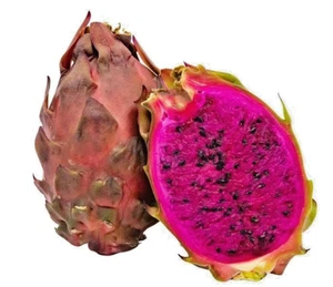 250+ Red Dragon Fruit Var. Sugar Dragon Seedss (Hylocereus guatemalensis) - Picture 1 of 8
