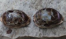 2 jolis coquillages sculptés ( poisson et hippocampe ) 