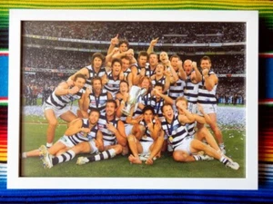 Póster Enmarcado 2007 GEELONG CATS AFL Premiers - 62 cm x 44,5 cm x 3 cm - Imagen 1 de 2