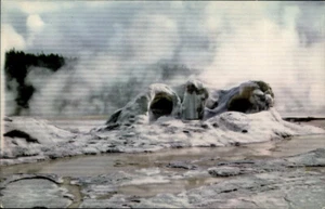 Wyoming Grotto Geyser Cone Micro-Color Yellowstone National Park WY Postcard - Picture 1 of 2