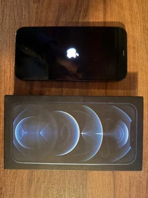 Apple iPhone 12 Pro Max - 256GB - Blu Pacifico - condizioni perfette - Immagine 1 di 4