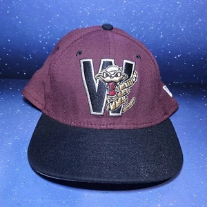 Vintage Wisconsin Timber Rattlers Snapback Hat 90s New Era Brewers Mariners MiLB - Picture 1 of 10