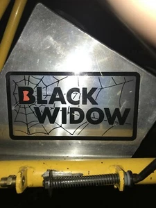 BLACK WIDOW bug kart decals McCulloch Wasp stinger - Picture 1 of 2