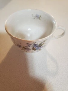 Carl Tielsch CT Germany Floral Tea Cup - Picture 1 of 3