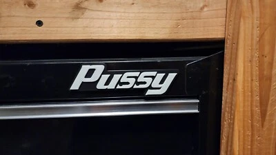 Pussy Magnetic Novelty Glow in Dark Tool Box Badge 3D Printed Box Truck - Image 1 of 4