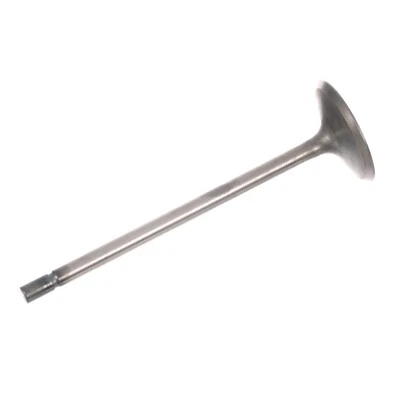 Válvula de admisión de motor genuina Mazda 12-18 3 CX-3 CX-5 MX-5 Miata 2,0 L PE01-12-111 Foto 1 de 4