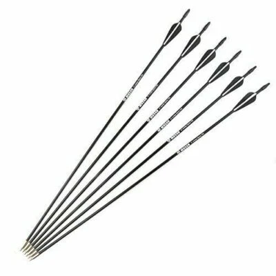12Pcs 31'' OD 7mm Fiberglass Arrow SPine 700  Vane Nock Tail Hunting Practice - Image 1 of 4