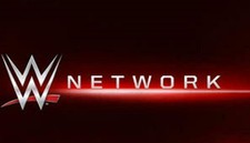 WWE Network Only Premium Live Account Access Subscription | 1 Year Warranty
