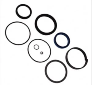 Nuevo kit de sellado de cilindro de elevación Yale 505136049 para GLC030BF - Imagen 1 de 1