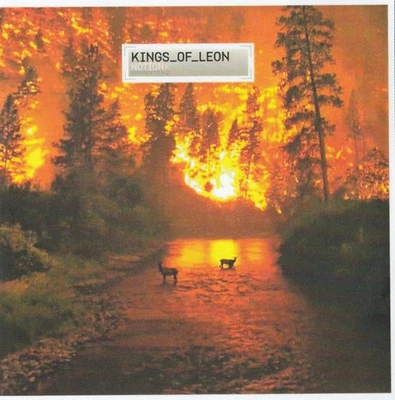 Kings of Leon Notion CDr UK Columbia 2009 promo cdr with info sticker on plastic - Imagen 1 de 2