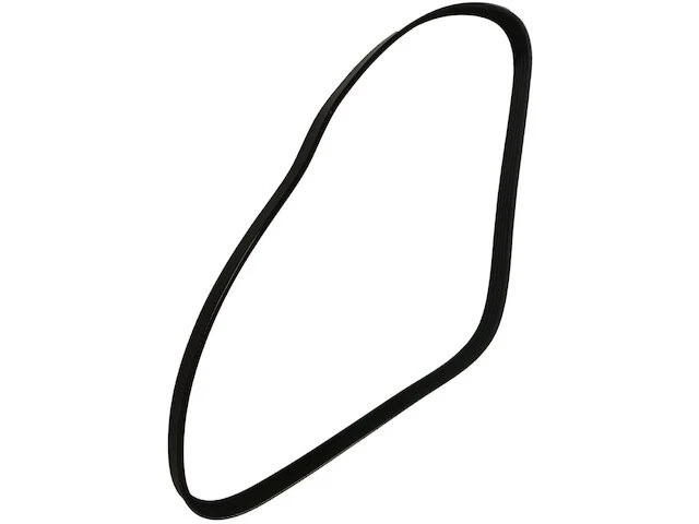 Cinturón multi costilla para Oldsmobile Alero 2002-2004 2,2 L 4 cilindros GAS 2003 XJ732KB Foto 1 de 1