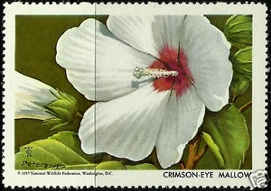 CRIMSON-EYE MALLOW, NATIONAL WILDLIFE FEDERATION CINDERELLA 1957, MNH - Picture 1 of 1