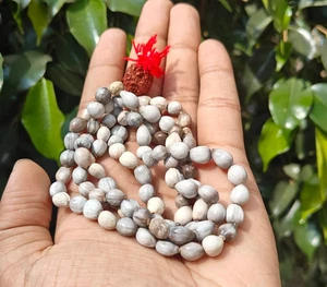 100% Natural Vaijanti Japa Mala con Rudraksha 108 Cuentas Señor Vishnu y Laxmi - Imagen 1 de 9