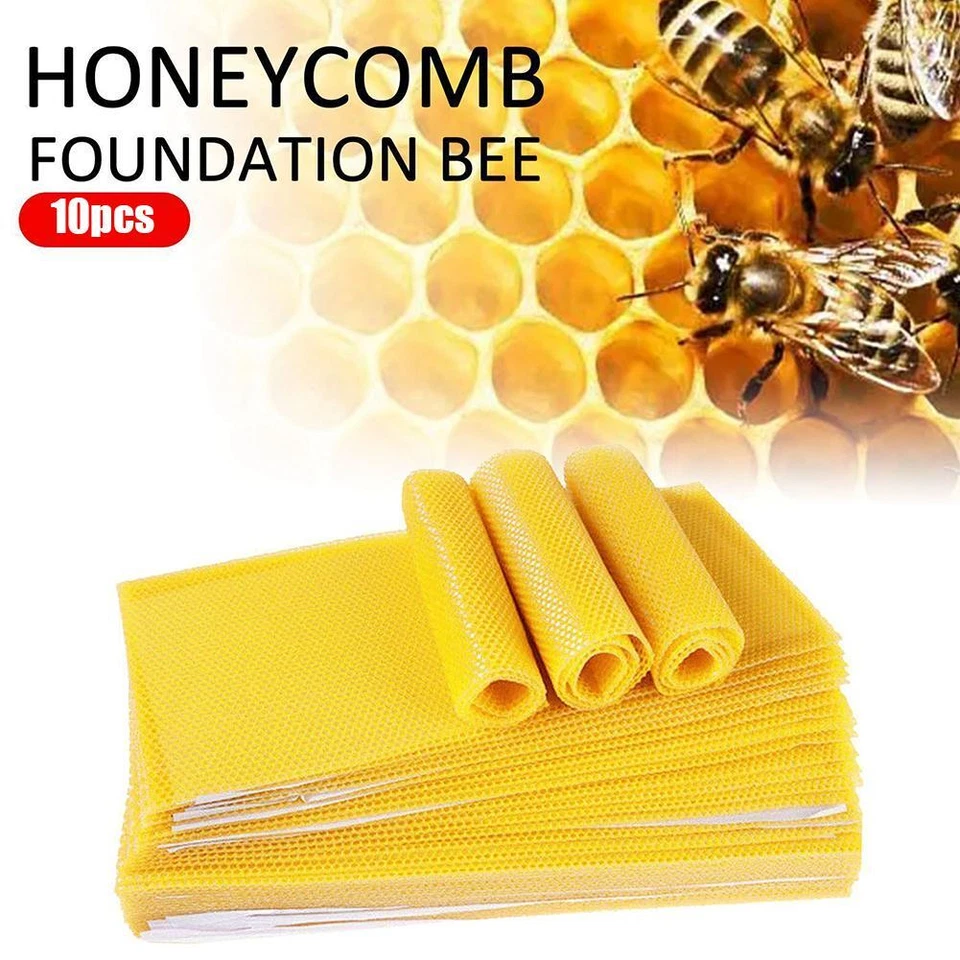 10PCS Beeswax Foundation Bee Hive Wax Frames Beekeeping m n Honeycomb Sheet O2N3 - Image 1 of 4