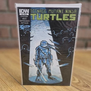 TEENAGE MUTANT NINJA TURTLES #28 IDW COMIC JETPACK EXCLUSIVE CVR RE VARIANT TMNT - Picture 1 of 22