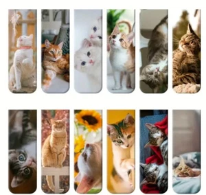 Set Of 4 Cute Cat/Kitten Magnetic Bookmarks Great For Kids And Adults - Picture 1 of 4