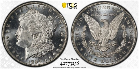 1899-O Morgan MS64PL Gold Shield, Limited number at this grade or higher Cover