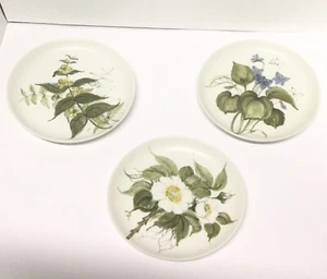 Platos de rosa Jessamine, violeta y cherokee Arabia de Finlandia 8" años 60 HLA/HP - Imagen 1 de 7