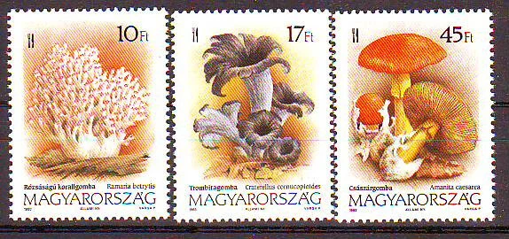 HUNGARY - 1993. Fungi - MNH - Image 1 of 1
