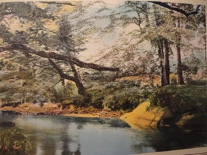 Wallace Nutting " 1930-35 "A Sheltered Brook" Photograph Print for Frame Vintage - Picture 1 of 6