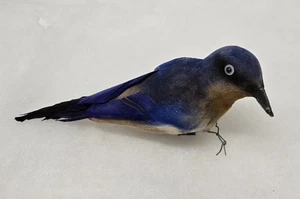 Vintage Sammlerstück realistisch gesponnen Baumwolle Bluebird echte Federn Handarbeit Vogel - Bild 1 von 7