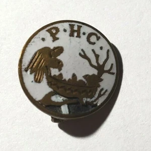 PROTECTIVE HOME CIRCLE -- FRATERNAL INSURANCE MEMBER VINTAGE LAPEL PIN - Picture 1 of 3