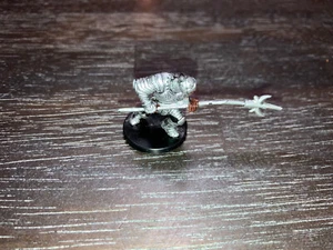 Phalanx Soldier D&D Miniature Unhallowed mini Dungeons Dragons Pathfinder - Picture 1 of 1