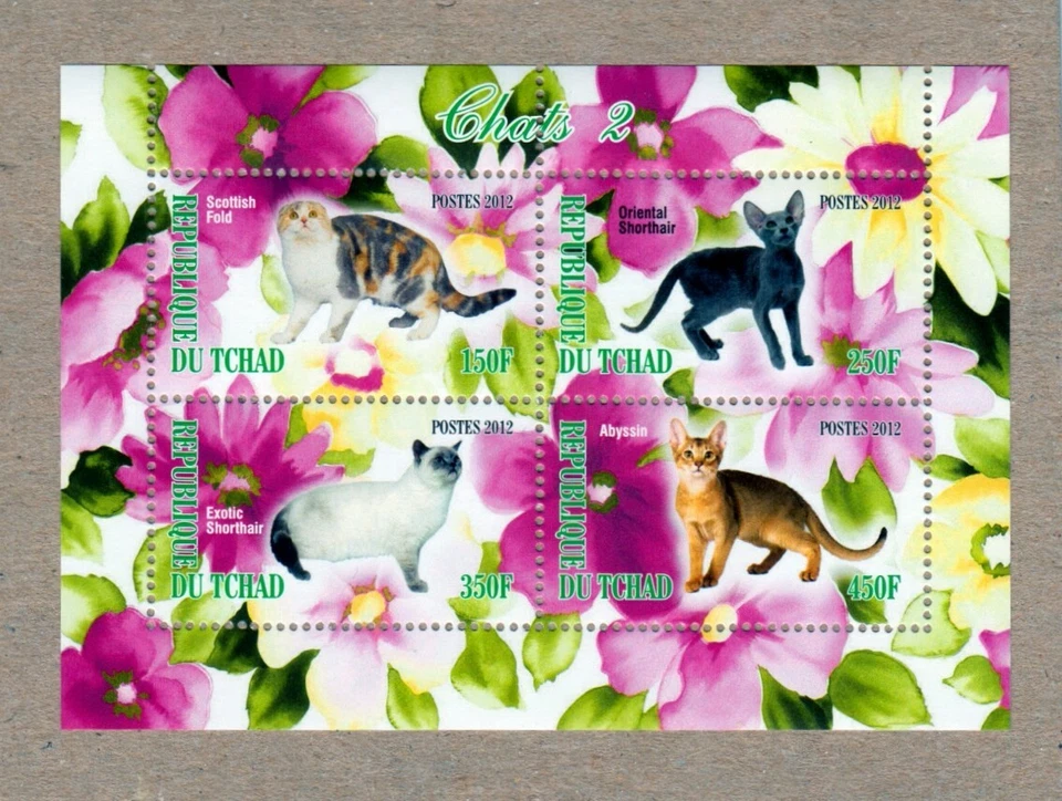 Cats * Scottish Fold, Abyssin, Exotic Shorthair, Chat Katze MNH Sheet of 4 [W03] - Image 1 of 1