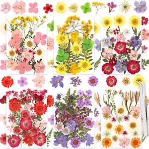 160 Pcs Dried Flowers Pressed Real Flowers for Resin, Dried Florals Natural Herb - Picture 1 of 12