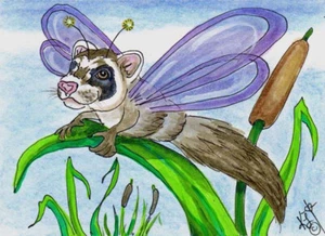 Ferret Dragon Fly ACEO EBSQ Kim Loberg Fantasy Insect Mini bug Art cattail Pond - Picture 1 of 3