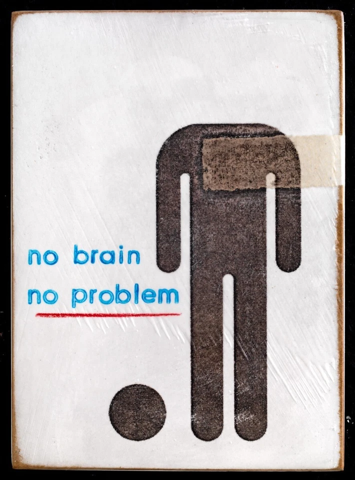 Jan M. Petersen, no brain - no problem, 2024, Kunst lustig/Humor Wandobjekt (70) - Bild 1 von 1