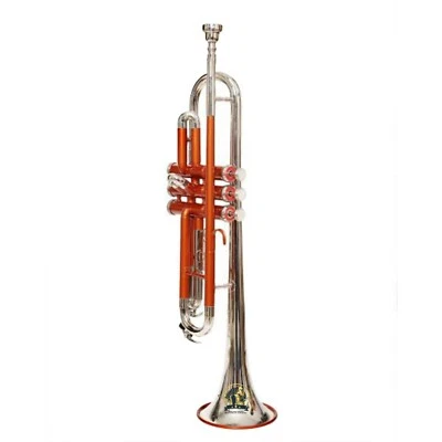 Trompeta SOUND SAGA Paso Bb Latón Calidad Con Estuche Rígido y Boquilla (COBRE) Foto 1 de 4