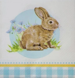 TWO Individual Paper Lunch Decoupage Napkins - 2338 Checkered Spring Bunny - Picture 1 of 2