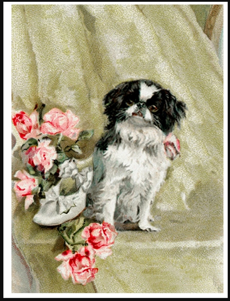 JAPANESE CHIN & PINK ROSES LOVELY VINTAGE STYLE DOG ART PRINT POSTER - Image 1 of 1