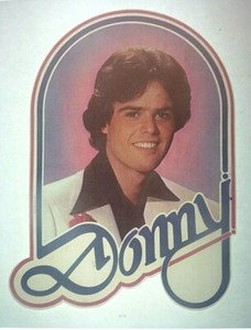 Donny, Marie & Donny And Marie Iron Ons T Shirt Transfers Lot Of 3 New
