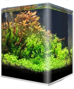 Aquarium Amtra Nanotank 60L mit Abdeckung! - Bild 1 von 3