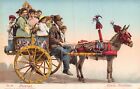 Palermo Sicily Italy~Carre Siciliano-Donkey Cart~1900S Tinted Photo Postcard