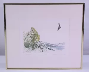 Soaring III DE COLECCIÓN Arte Firmado a Mano Enmarcado Automático Mate Numerado Elizabeth Key Durana - Imagen 1 de 21