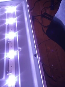🌟(New)Insignia NS-40D420NA16 & Hisense 40H4C/5C LED STRIP 2013CHI400 (1131319) - Picture 1 of 4