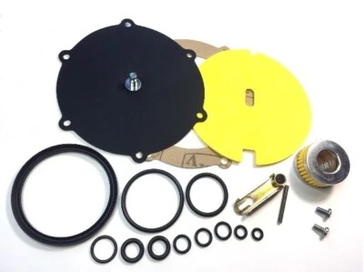 KIT REVISIONE RIDUTTORE POLMONE LI10 LANDI RENZO TYPE LSE98 LI10 COMPLETO - Immagine 1 di 2