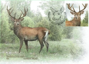 First day cover ( FDC ) of ESTONIA 2023 - Estonian fauna - The red deer. - Picture 1 of 3