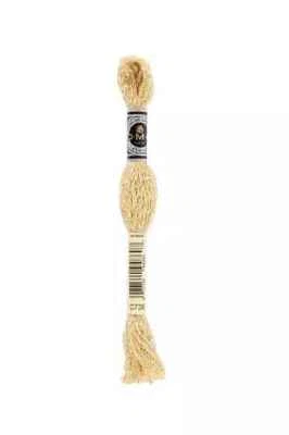 DMC 6-Strand Etoile Embroidery Floss 8.7yd - Sahara, C738 - Image 1 of 2