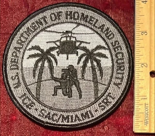 Departamento de Seguridad Nacional-Tierra ICE Sacramento Miami SRT sometido SWAT Foto 1 de 1